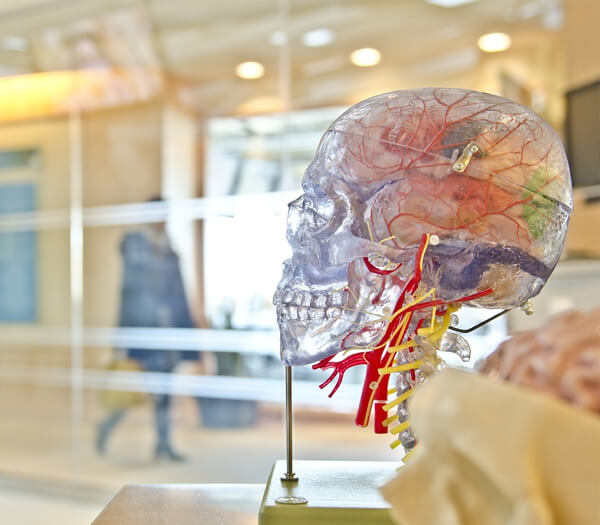 Neurology specialist discussing brain scan results